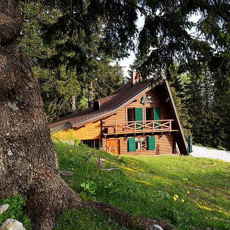 Chalet Alpinka Cerklje na Gorenjskem Zewnętrze zdjęcie