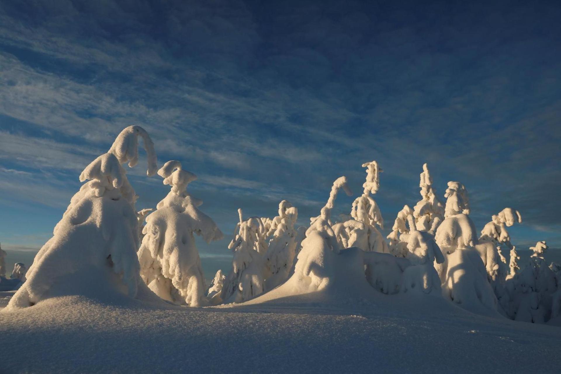 Chalet Alpinka Cerklje na Gorenjskem Zewnętrze zdjęcie