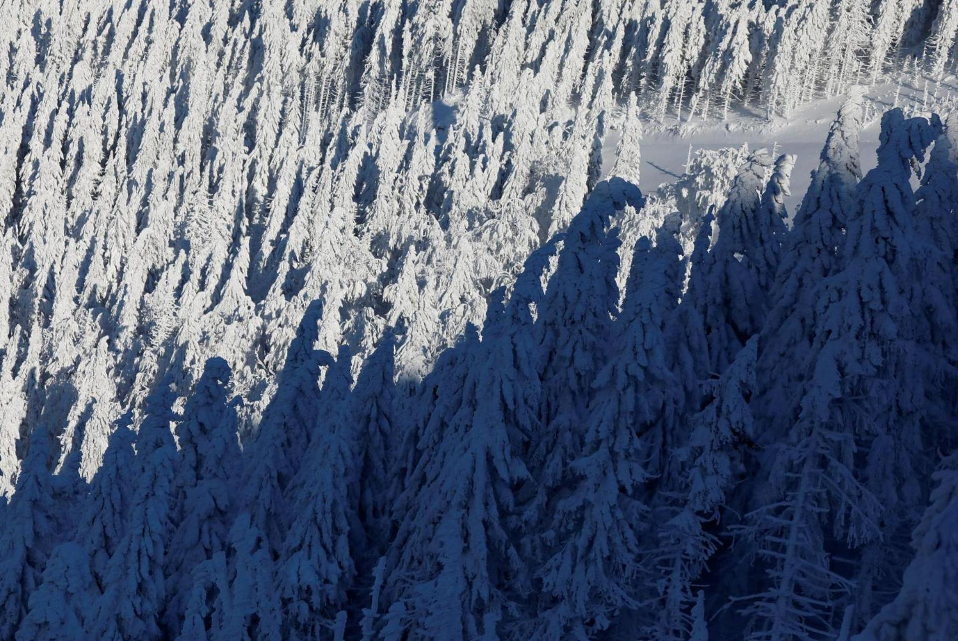 Chalet Alpinka Cerklje na Gorenjskem Zewnętrze zdjęcie